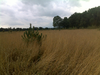 Opname inboet (Particulier Uden)